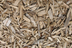 biomass boilers Pelcomb